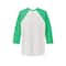 Next Level Unisex Tri-Blend 3/4-Sleeve Raglan T-Shirt